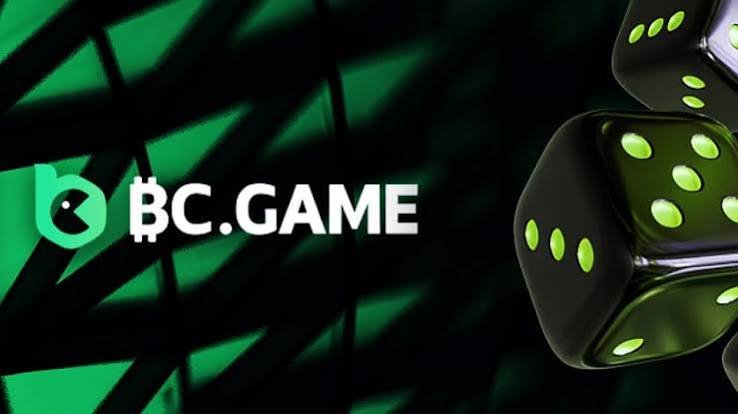 Discover the Thrills of BC.Game Casino