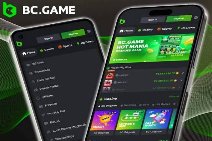 Download the BC.Game Mirror App Your Gateway to Exciting Gaming 913580536
