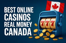 The Rise of Gambling Sites Evolution and Trends